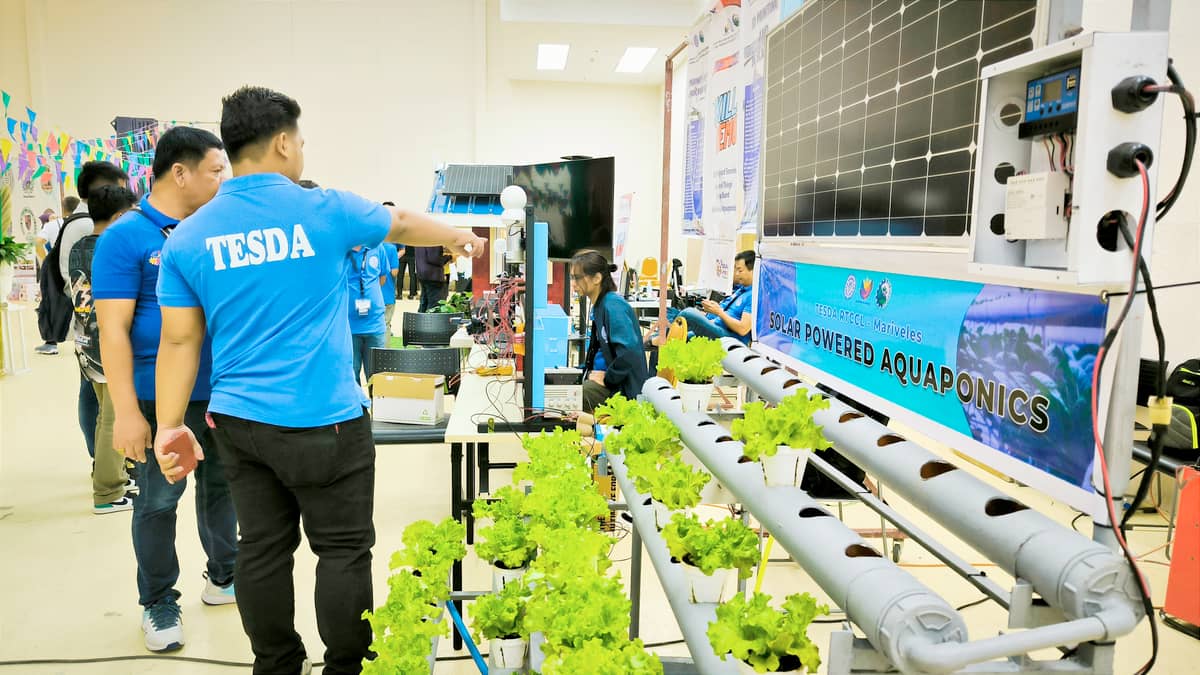 TESDA staff shows how to run and maintain a hydroponics farming system.
